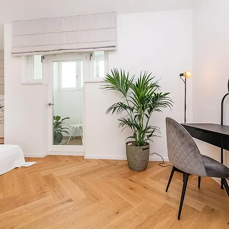Bright Designer With 2br, 2ba And Free Parking Apartment