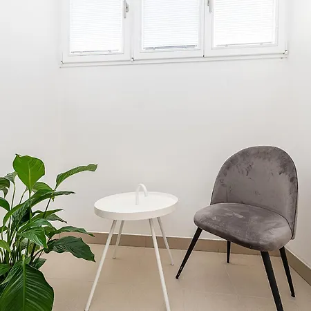 Bright Designer With 2br, 2ba And Free Parking Apartment